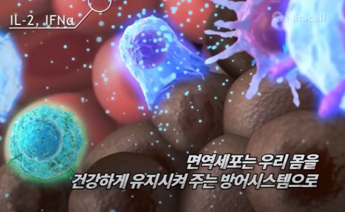 [줄기세포 TV] 줄기세포주사로 내 면역력 강화하기