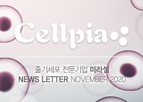 Miracell NewsLetter NOVEMBER 2020