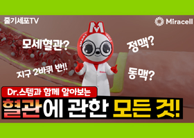 [닥터스템] 혈관에 대한 모든 것!