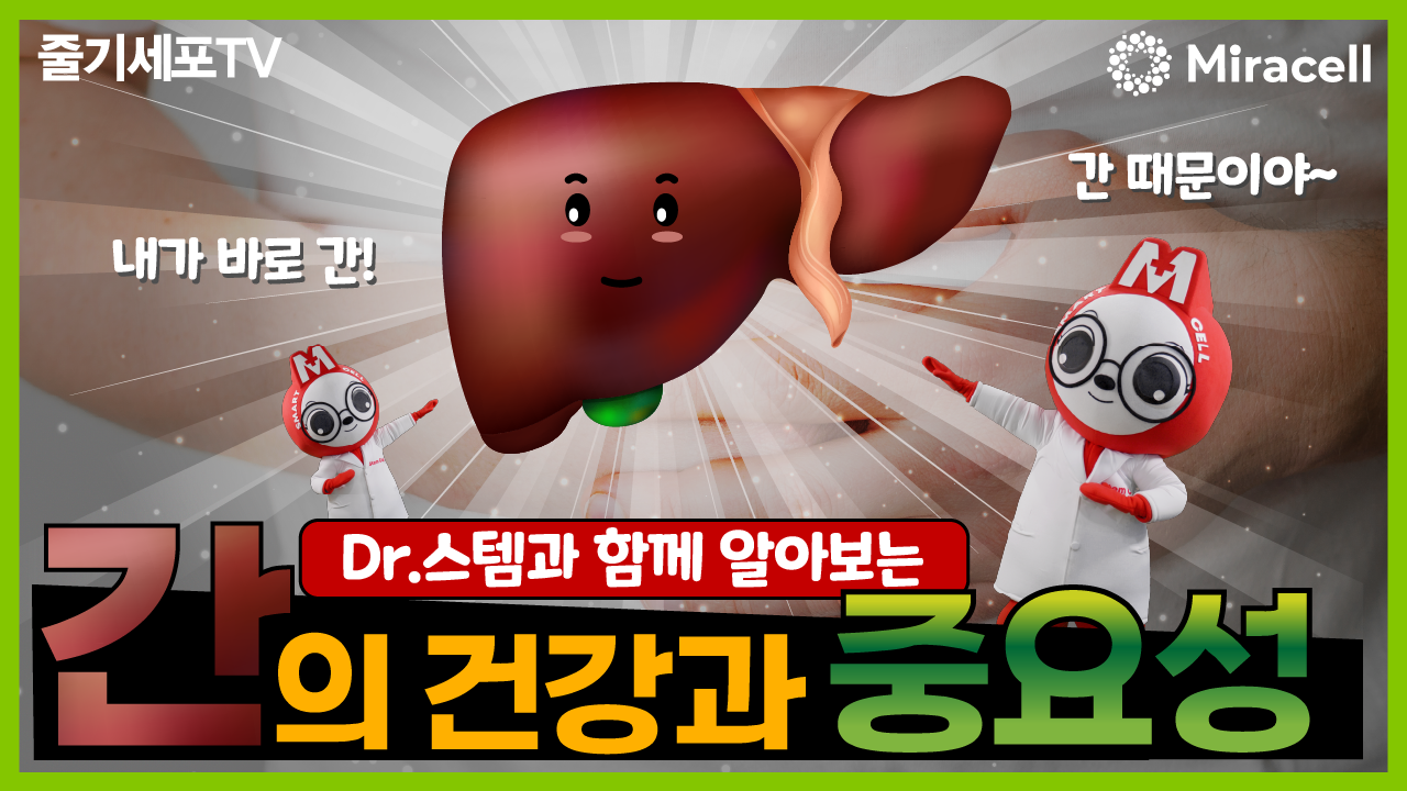 [닥터스템] 술 한잔만 마셔도 얼굴이 붉어지는 당신이 꼭 봐야할 영상! 간의 건강과 중요성!