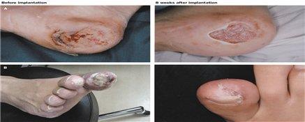 2019-01-22 15;32;31.JPG