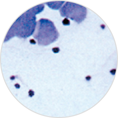 퀄리티 보장 이미지