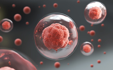 줄기세포 이미지